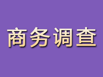 黄岩商务调查